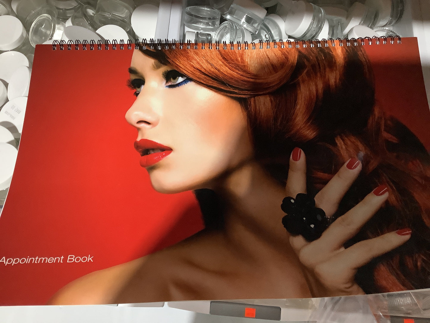 APPOINTMENT BOOK