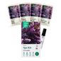 TOT 4 Step Spa Kit No5